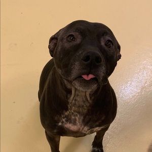 Meet your Posher, Tricia